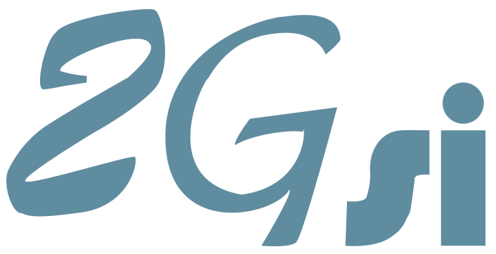 Logo 2GSI fond transparent